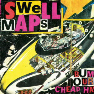 Swell Maps / Archive Recordings Volume 1: Wastrels And Whippersnappers (Vinyl LP)