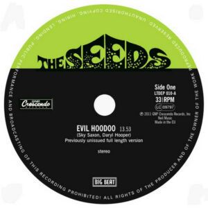 The Seeds / Evil Hoodoo (10″ Vinyl EP)