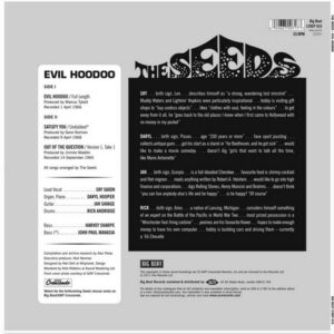 The Seeds / Evil Hoodoo (10" Vinyl EP)