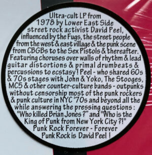 David Peel & Death / King Of Punk (Vinyl LP)