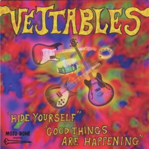 The Vejtables / Hide Yourself (7" Vinyl)