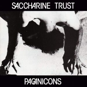 Saccharine Trust / Paganicons (12" Vinyl EP)