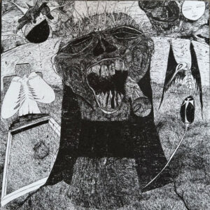 Rudimentary Peni / Death Church (Vinyl LP)