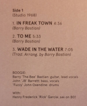 Boogie / In Freak Town (Vinyl LP + Download Card)