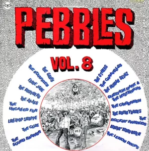 Various ‎/ Pebbles Vol. 8 : Original Artyfacts From The First Punk Era (Vinyl LP)