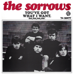 The Sorrows / You've Got What I Want (7" Vinyl)