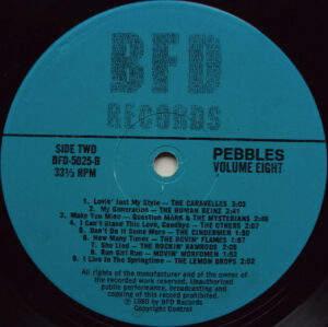 Various ‎/ Pebbles Vol. One : Original Artyfacts From The First Punk Era (Vinyl LP)