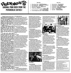 Various ‎/ Pebbles Vol. 9 : Original Punk Rock From The Psychedelic Sixties (Vinyl LP)