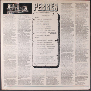 Various ‎/ Pebbles Vol. 7 : Original Artyfacts From The First Punk Era (Vinyl LP)