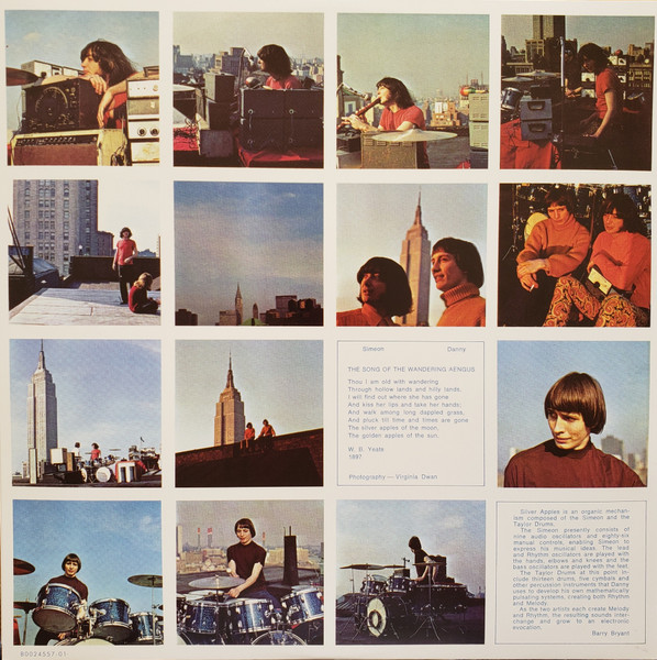 Silver Apples / Silver Apples (Vinyl LP)