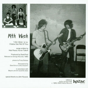 14th Wish – 14th Wish / I Gotta Get Rid Of You (7" Vinyl)