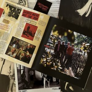 The Saints / (I'm) Stranded (4 x Vinyl LP Deluxe Box Set)