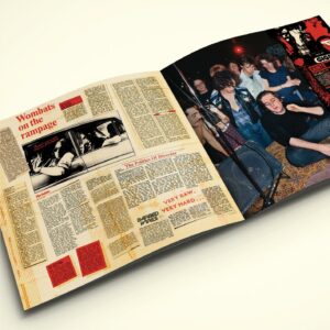 The Saints / (I'm) Stranded (4 x Vinyl LP Deluxe Box Set)