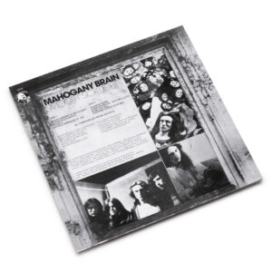 Mahogany Brain / Smooth Sick Lights (Vinyl LP)