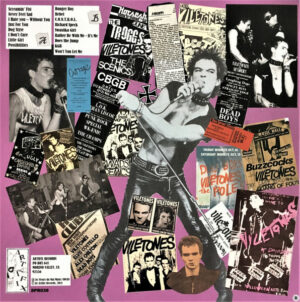 The Viletones / Fleurs Du Mal (Vinyl LP)
