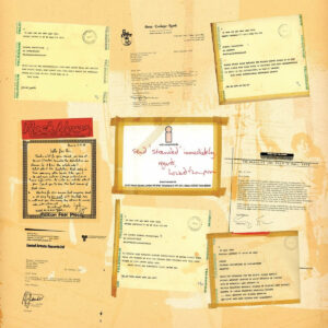 The Saints / (I'm) Stranded (4 x Vinyl LP Deluxe Box Set)