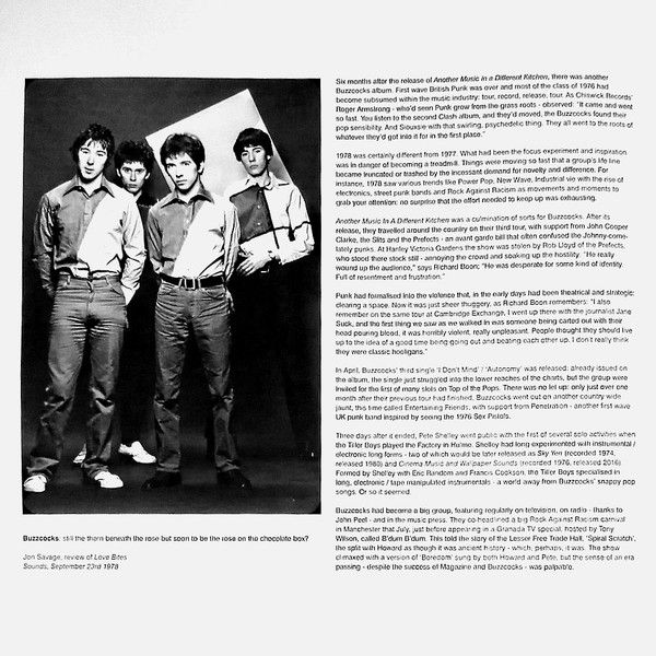 Buzzcocks / Love Bites (Vinyl LP)