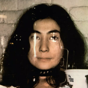 Yoko Ono With Plastic Ono Band / Fly (2 x Vinyl LP)