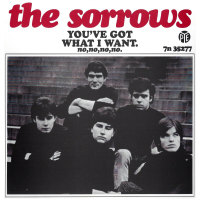 The Sorrows / You've Got What I Want (7